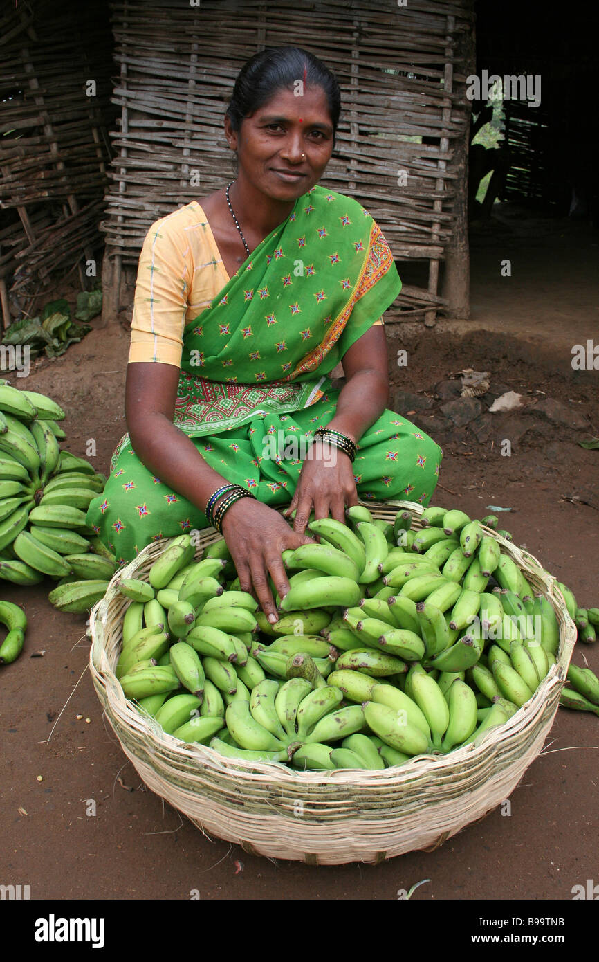 Indian Woman Selling Bananas From A Large Basket In A Rural Village Market Stock Photo