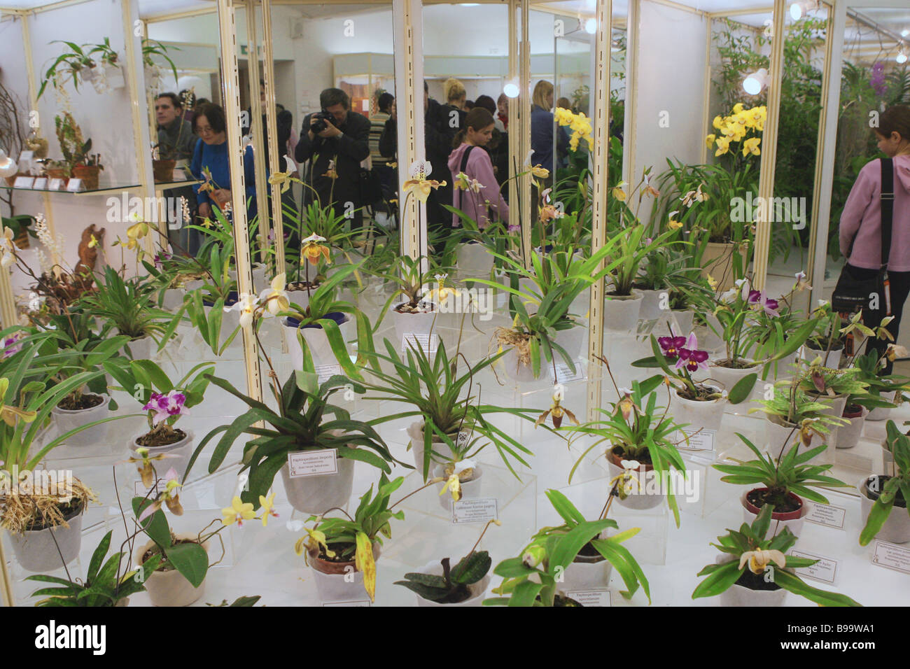 The Beautiful World of Orchids exhibition Stock Photo Alamy