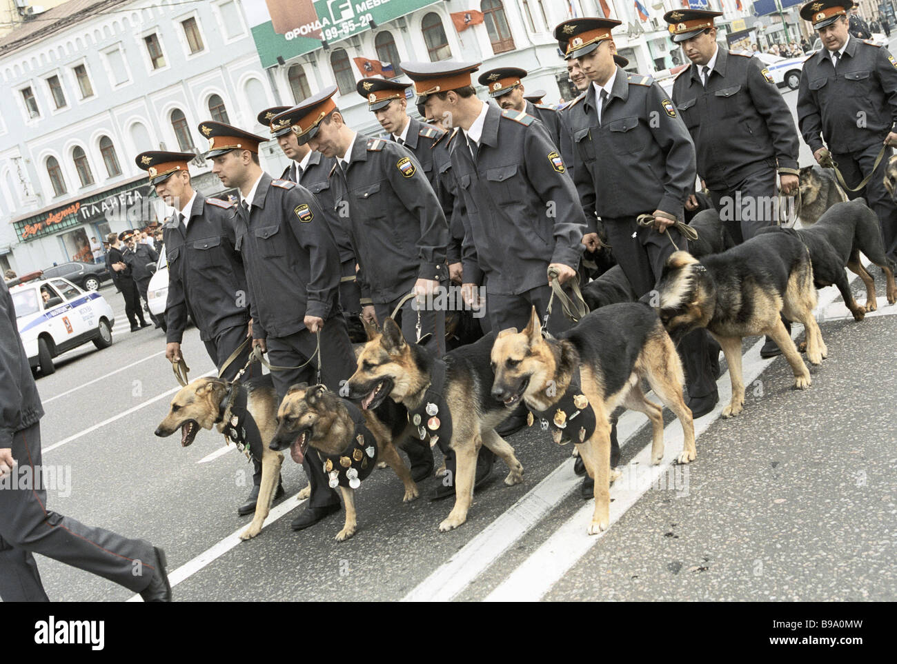 Moscow police dog handlers help keep law and order on the city streets  Stock Photo - Alamy