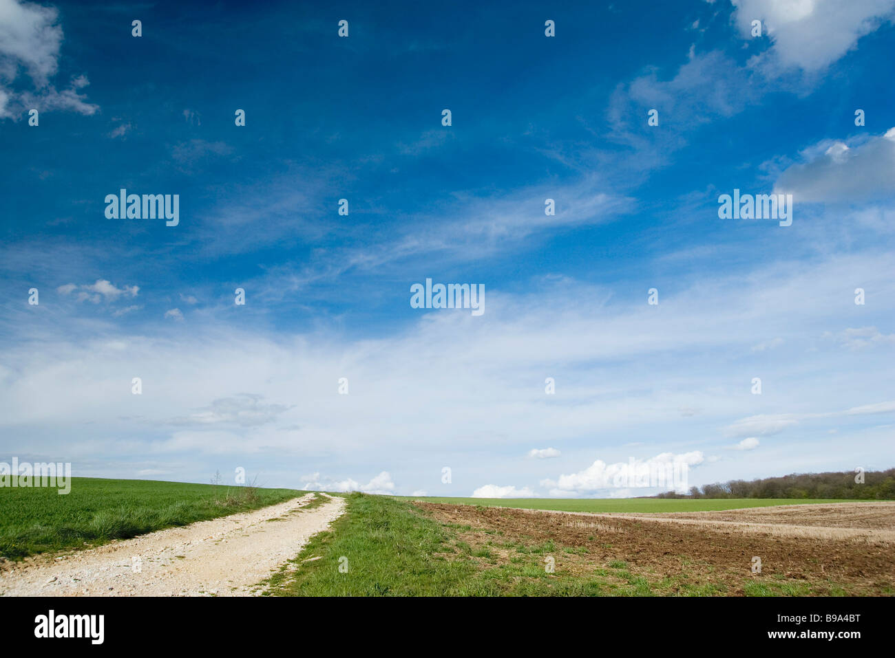 Rural landscape Stock Photo