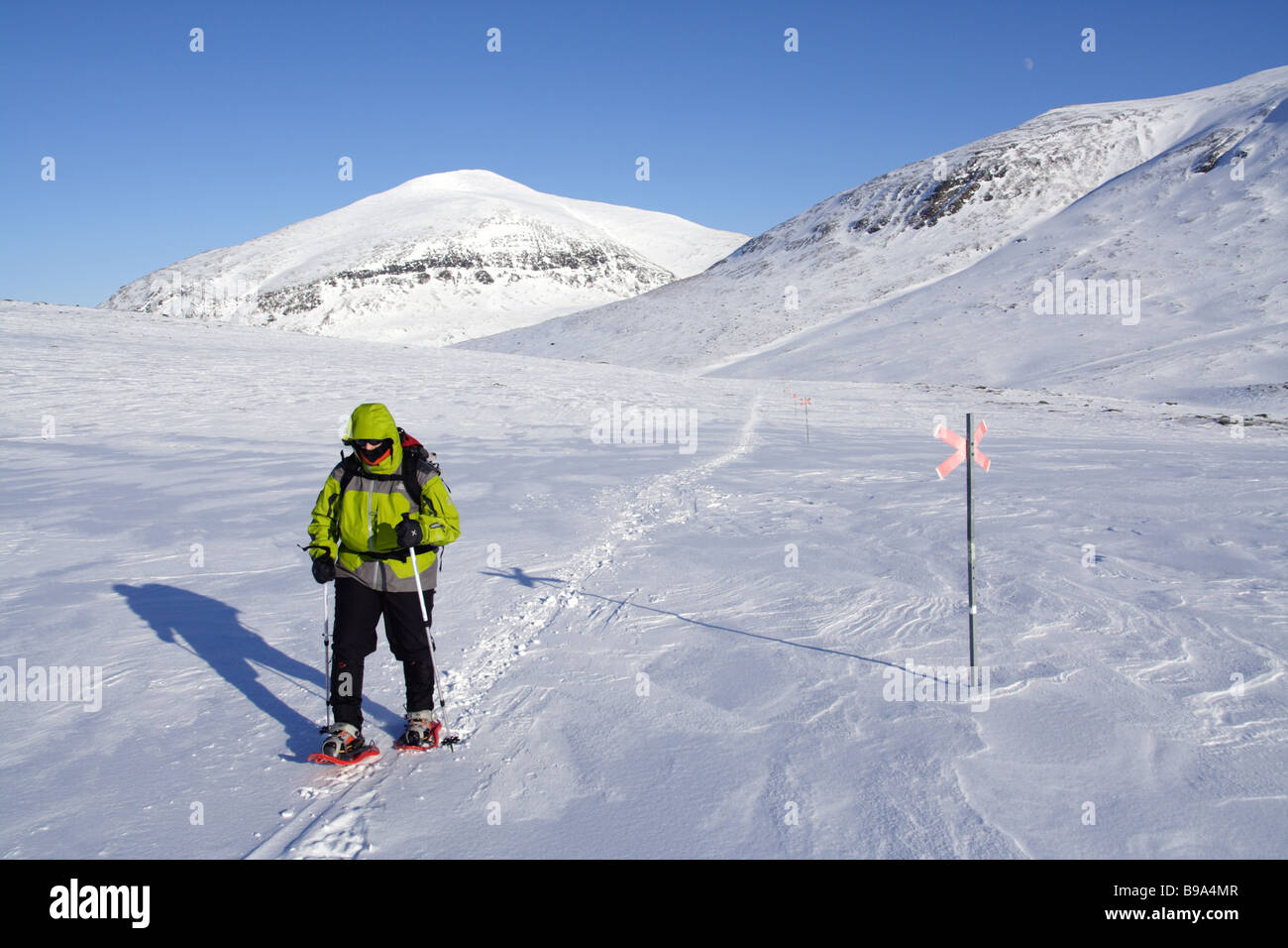 One snowshoe hiker in the Swedish Kungsleden, inside the  Arctic Circle, Sweden Stock Photo