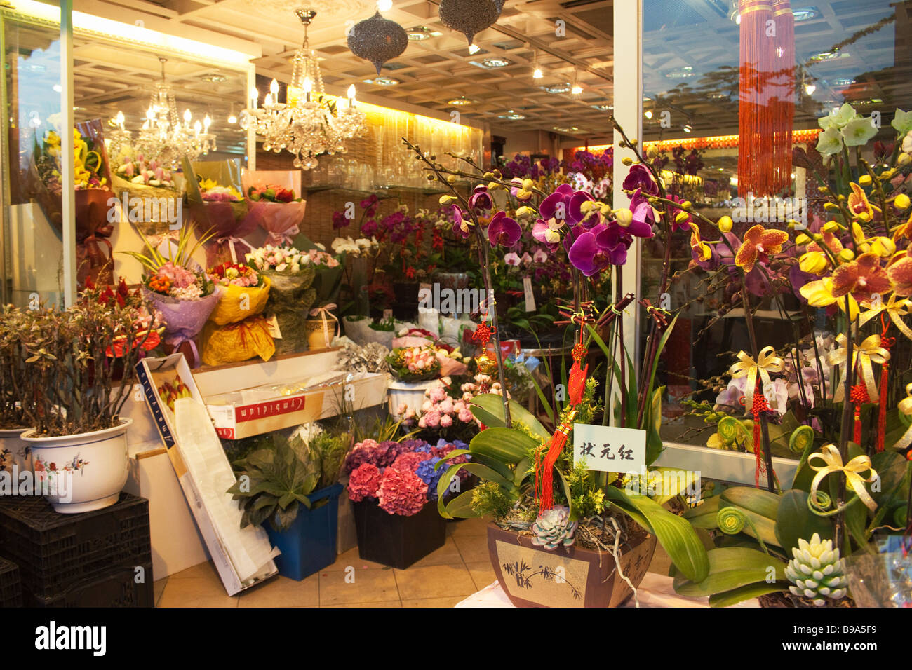 Shop in flower market Hong Kong Stock Photo