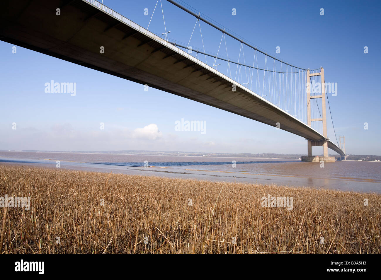 Humber Bridge crossing the river Humber between Kingston upon Hull and Barton upon Humber. Seen from the south. Stock Photo