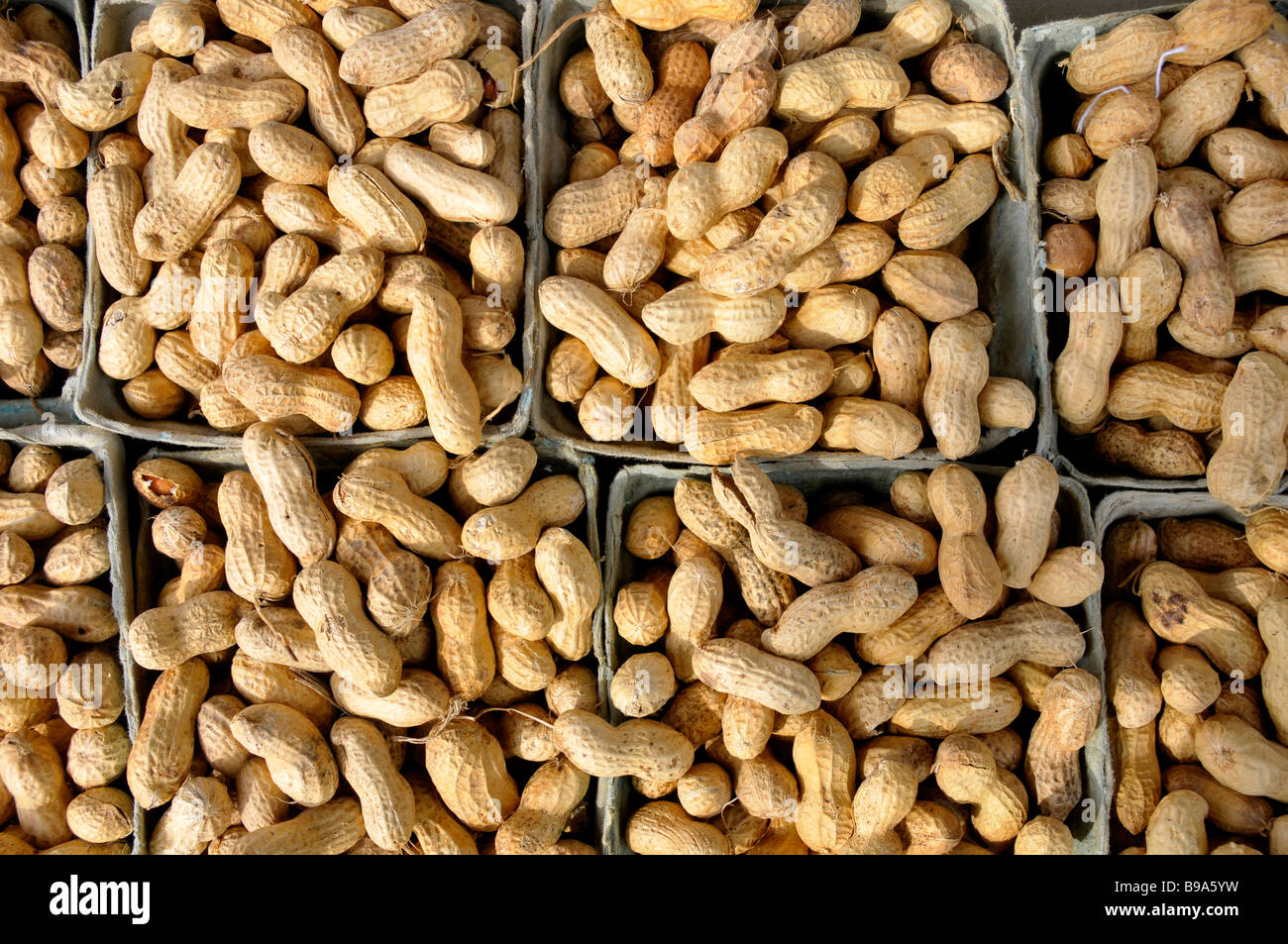Peanuts Produce display at farmer s flea market florida Stock Photo Alamy