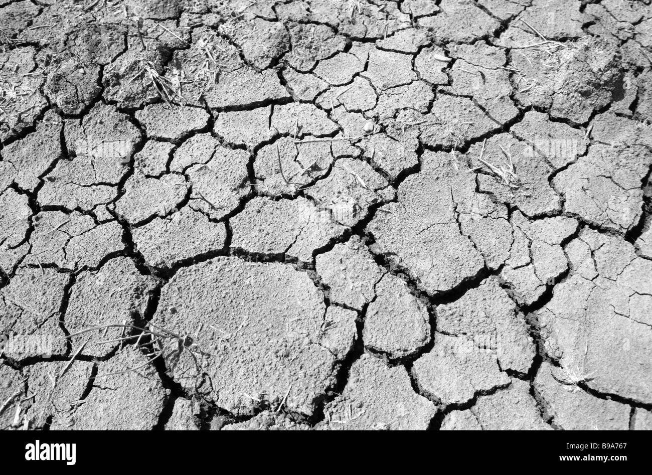 Mineralnye Vody High Resolution Stock Photography and Images - Alamy