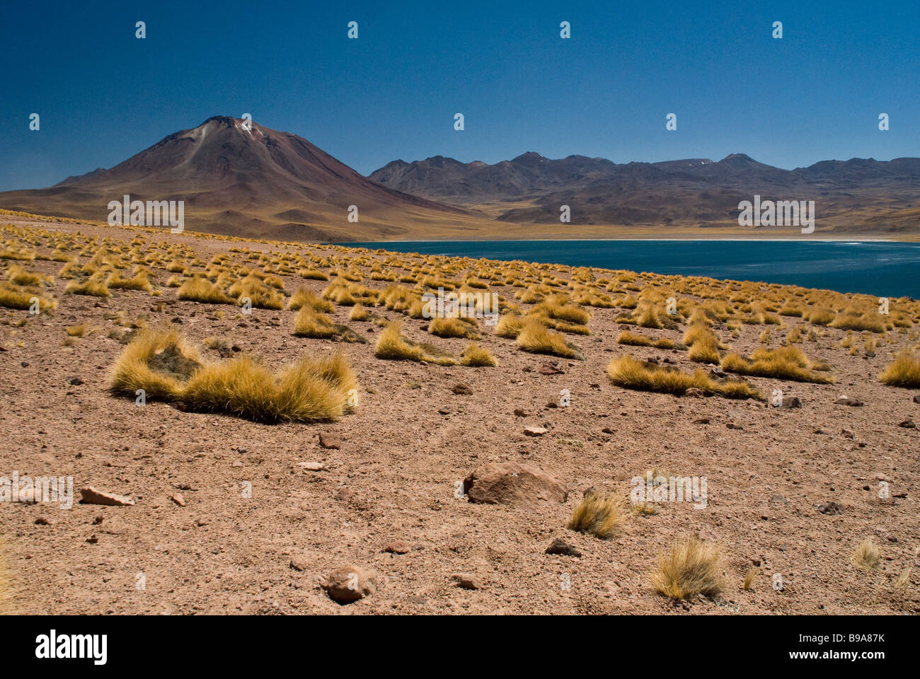 Miscanti Lake and Volcano in Background Stock Photo - Alamy