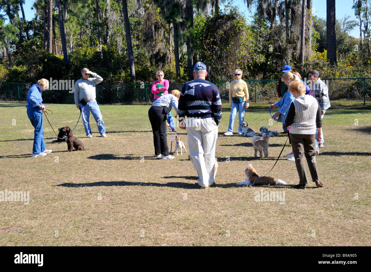 Outdoor dog obedience class trains owners and dogs Stock Photo Alamy