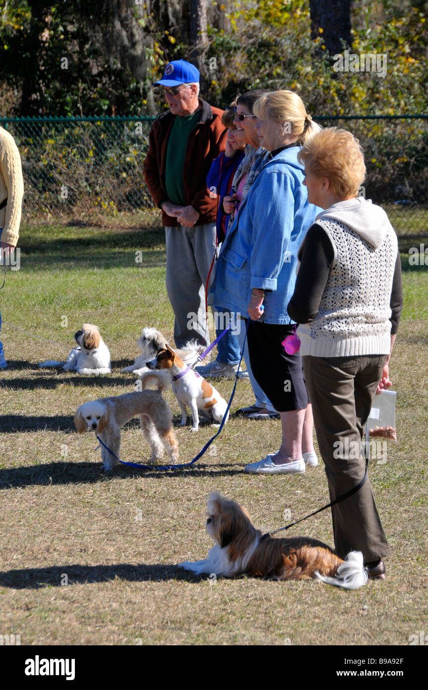 Outdoor dog obedience class trains owners and dogs Stock Photo