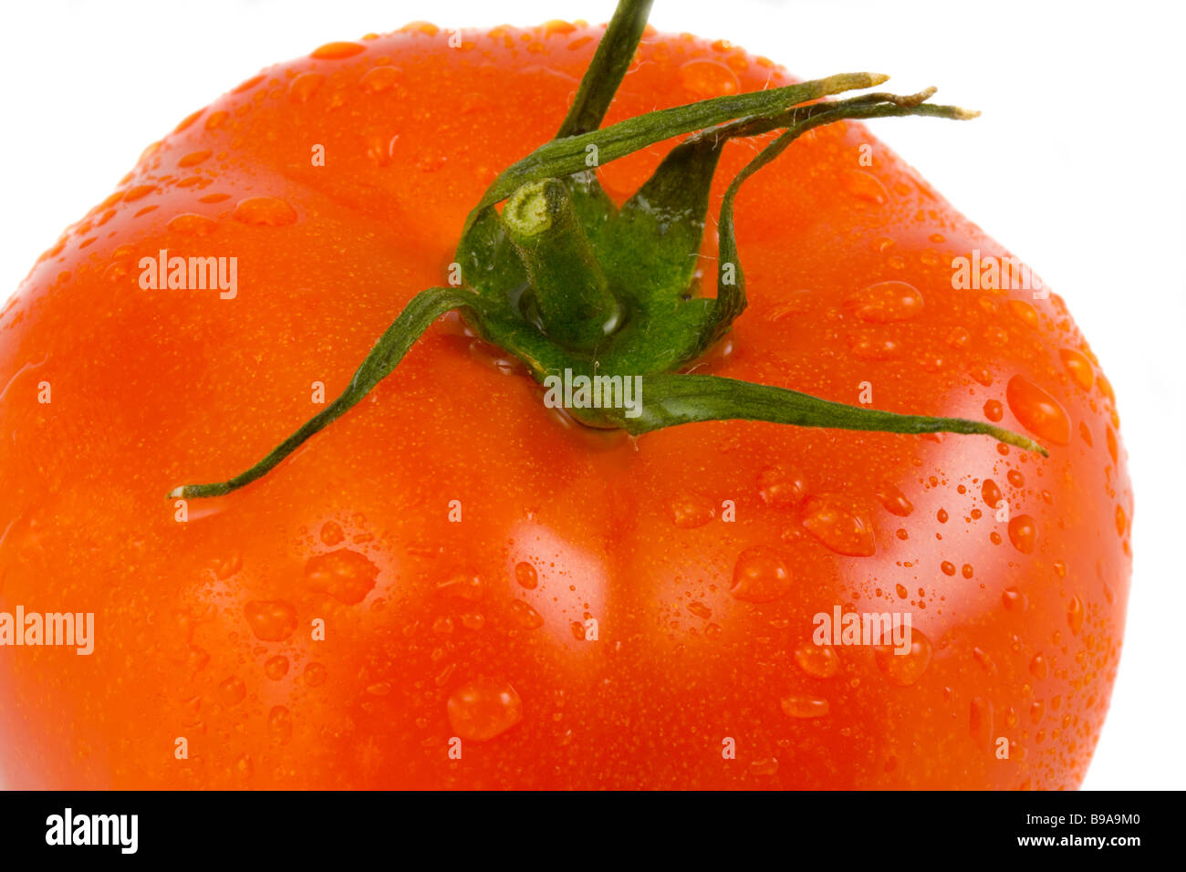 the red tomato with water drops on white background Stock Photo - Alamy