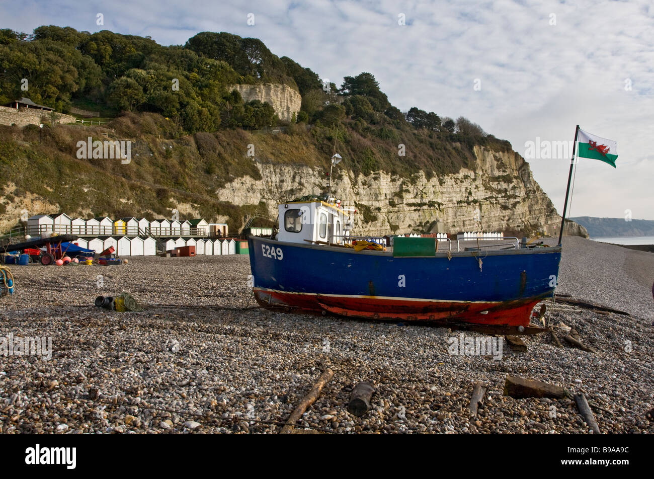 The Beach at Beer East Devon Stock Photo Alamy