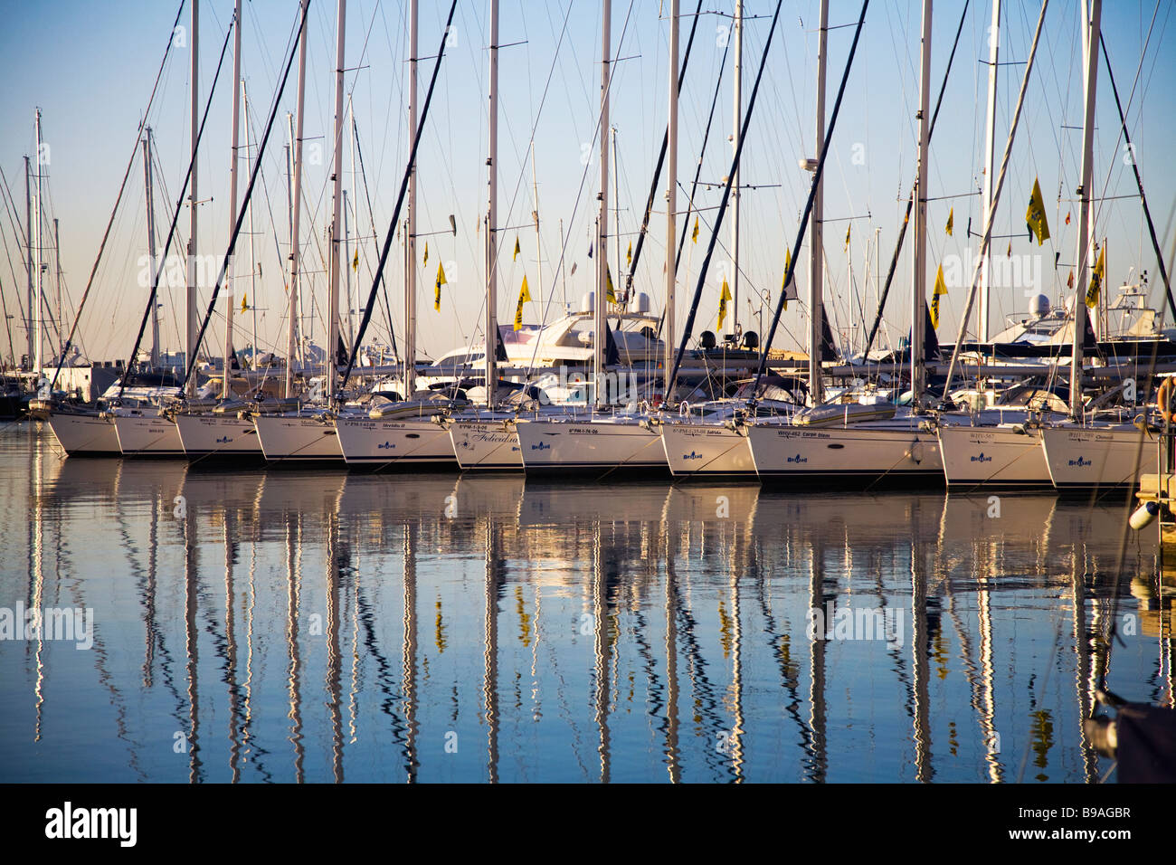 Yachts in the harbour in Palma Mallorca Stock Photo Alamy