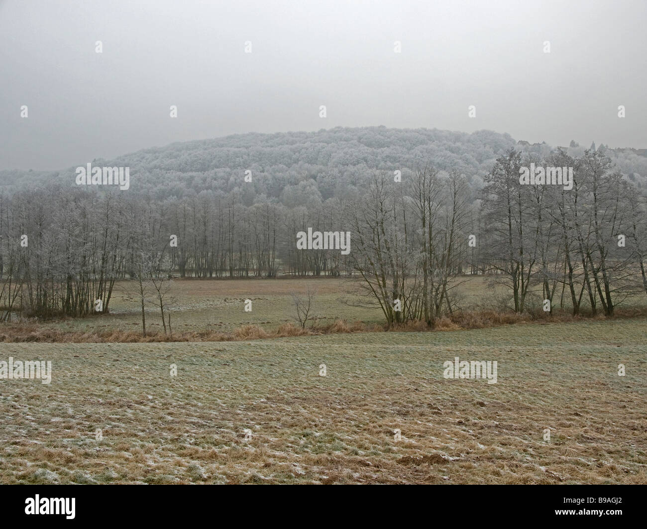 Nidder Nidder High Resolution Stock Photography and Images - Alamy
