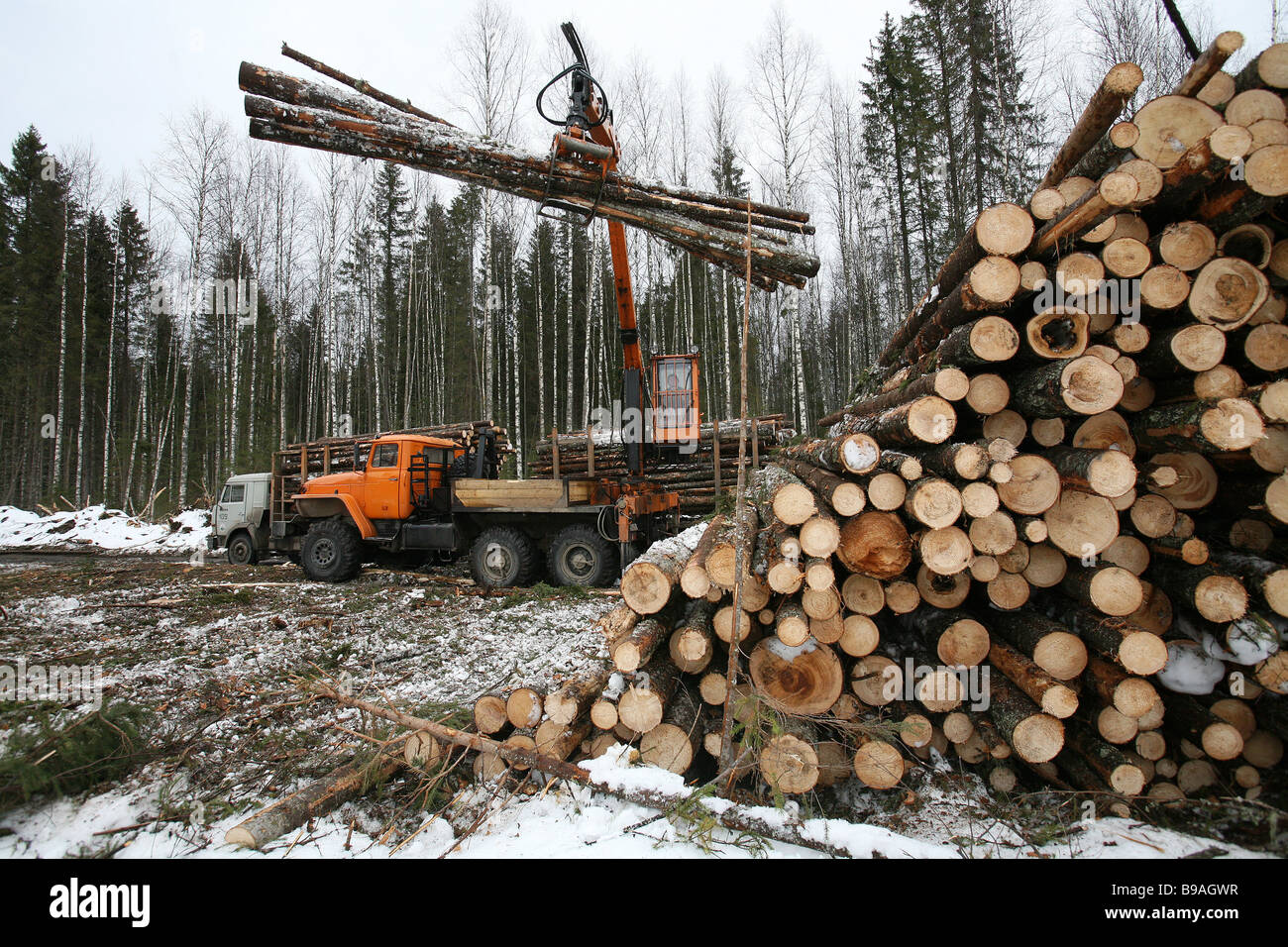Экономика в лесной отрасли. Лесопромышленный комплекс Костромской области. Заготовка древесины. Лесная промышленность Лесозаготовительная. Лесозаготовка Деревообработка.