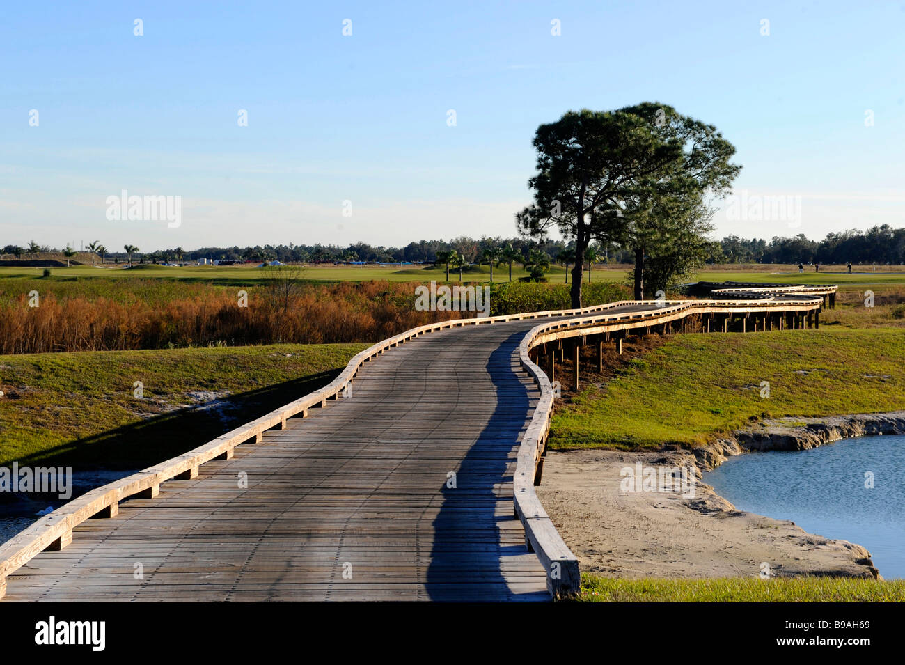Wooden bridge traverses wetland area florida Stock Photo
