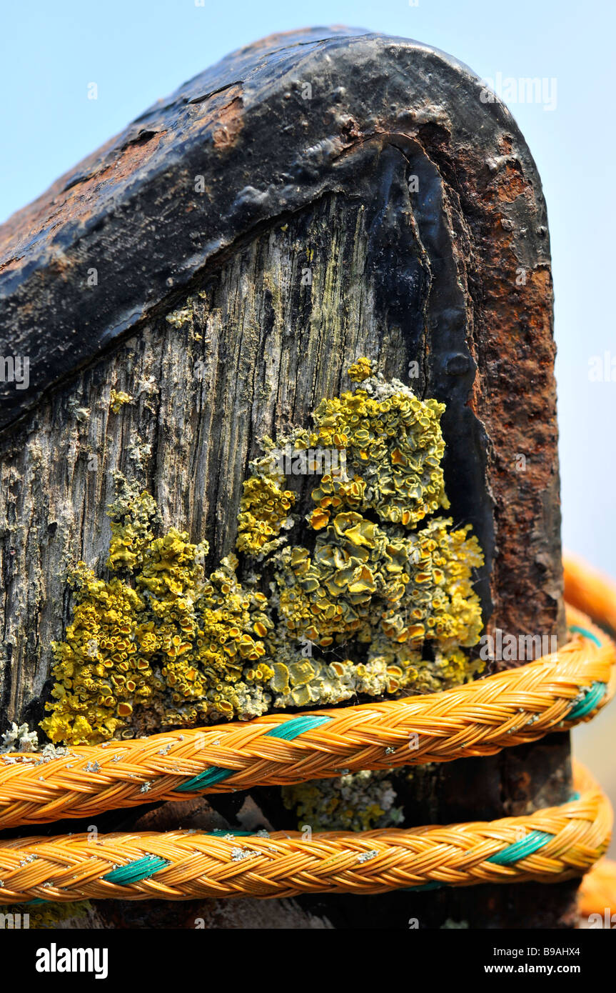 close up boat wood beach rope rotten beached lichen Stock Photo