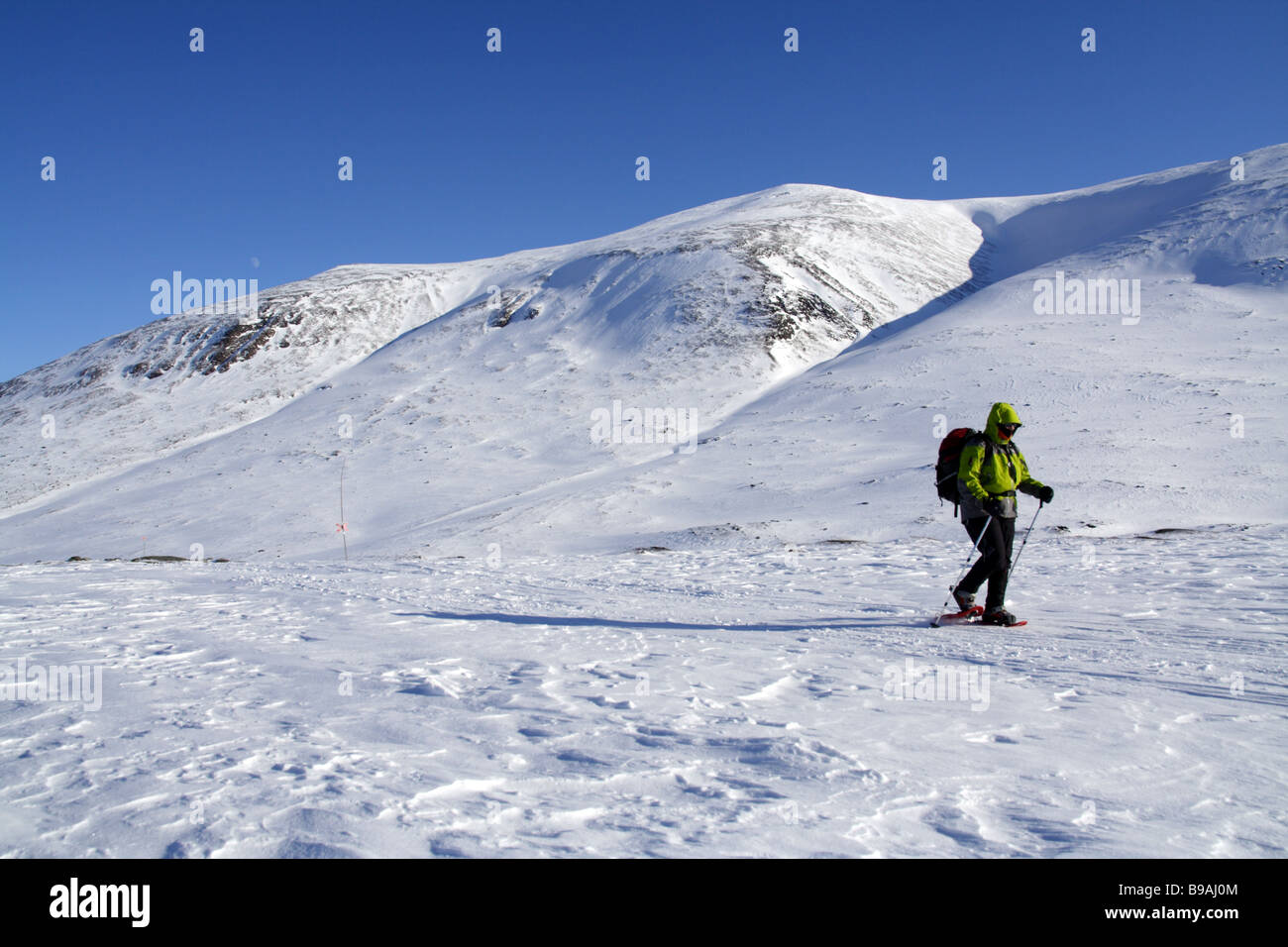 One female snowshoe hiker in the Kungsleden Stock Photo