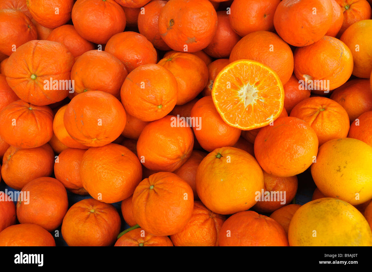 Oranges Produce display at farmer s flea market florida Stock Photo Alamy
