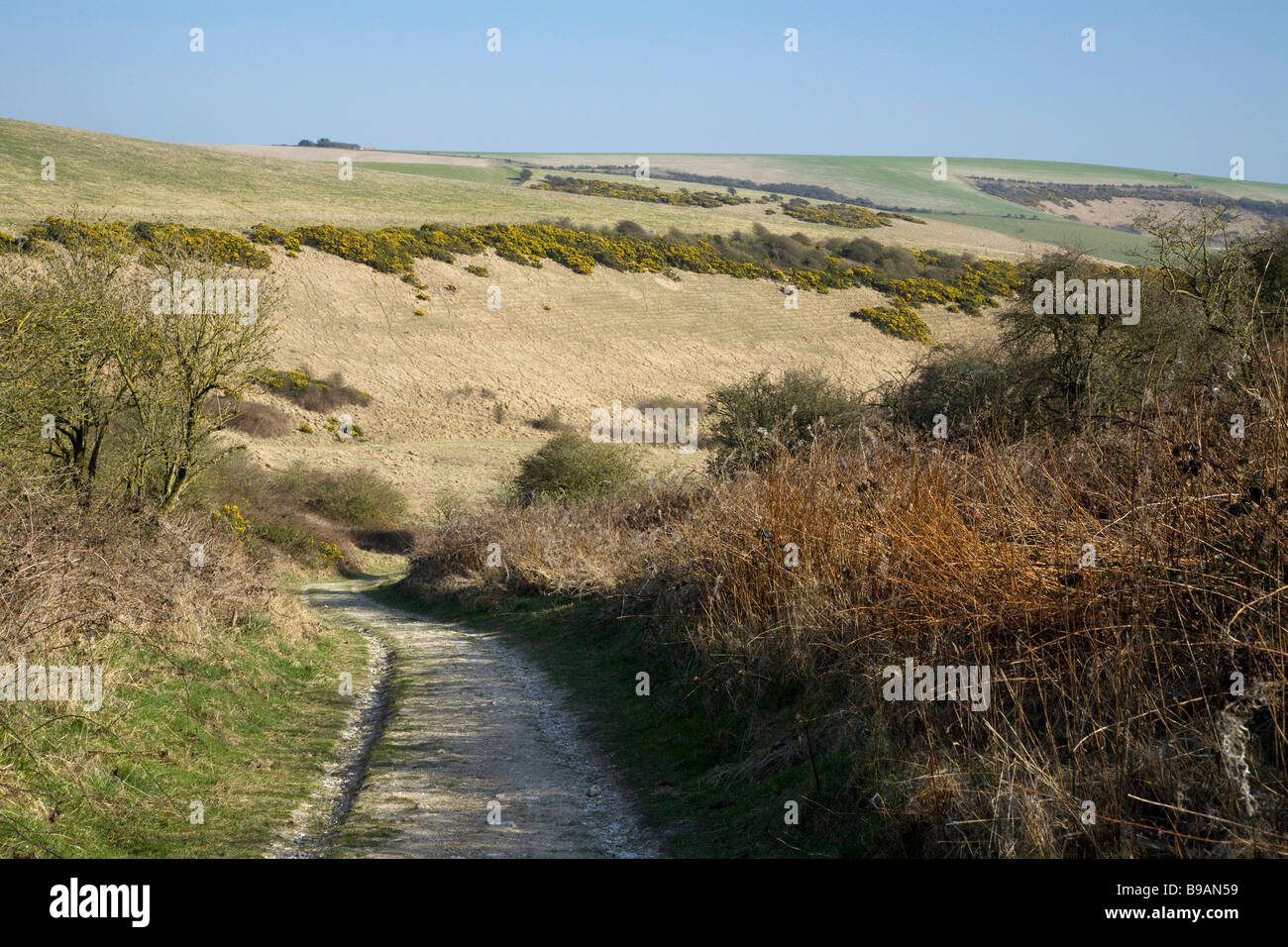 Castle Hill National Nature Reserve. South Downs. Natural downland. Stock Photo