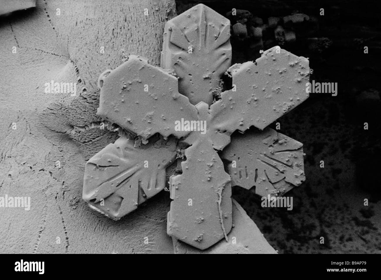 Electron micrograph of a tsuzumi snowflake crystal Stock Photo