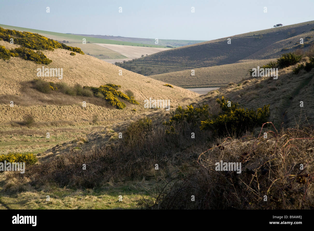 Castle Hill National Nature Reserve. South Downs. Natural downland. Stock Photo