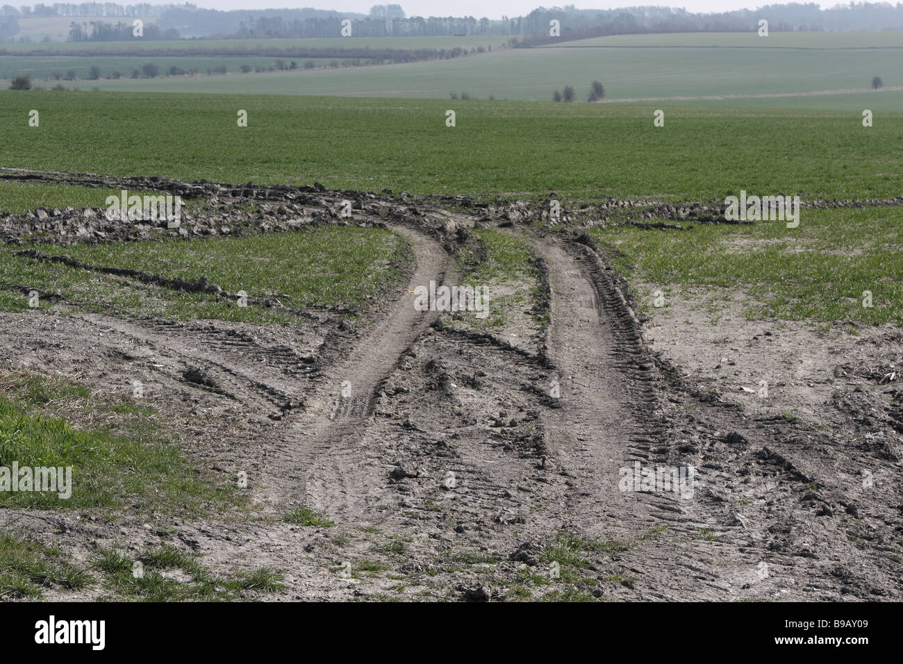 Muddy tractor tracks Stock Photo