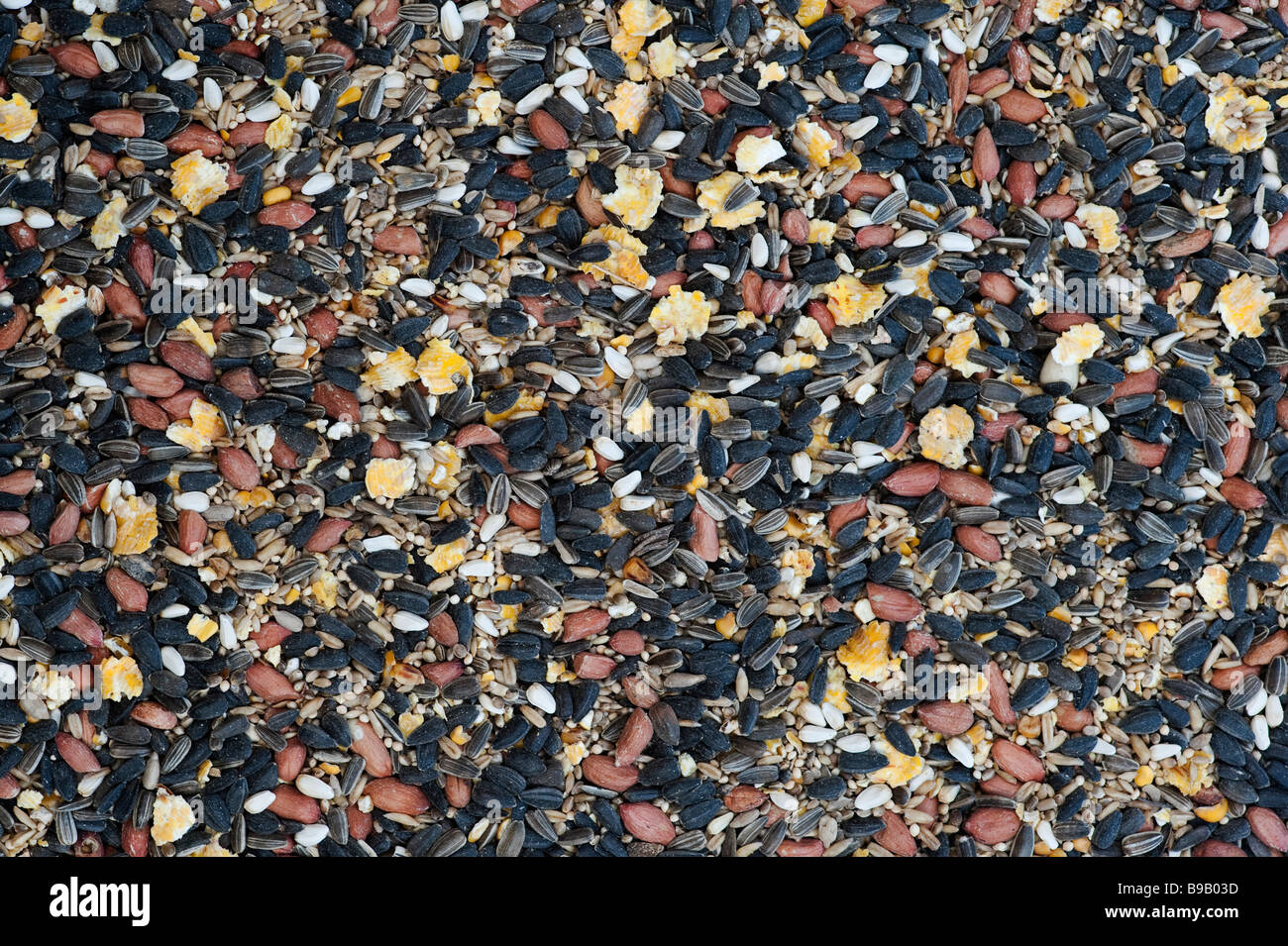 Wild bird seed Stock Photo Alamy