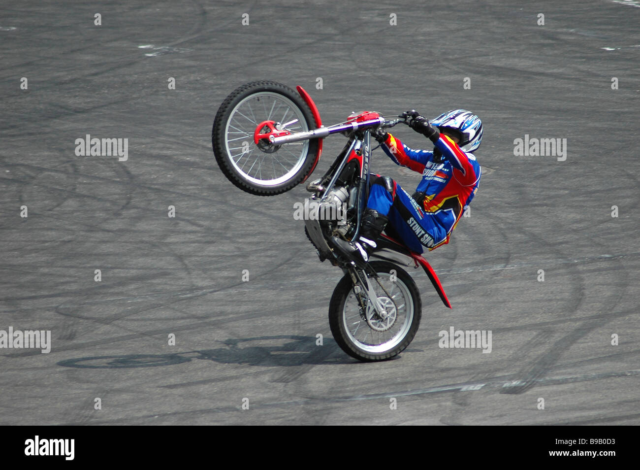 Fake Stuntman Id