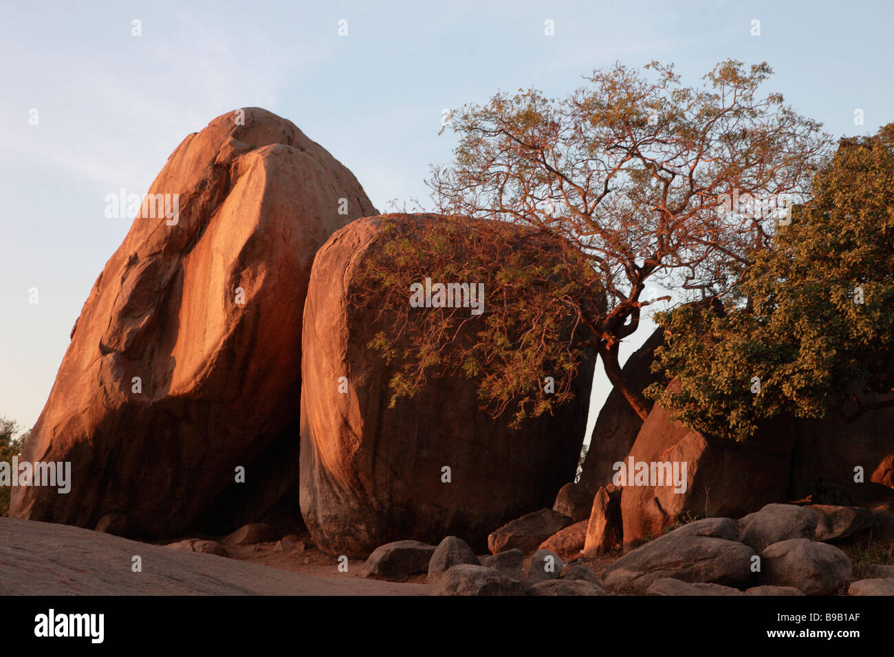 Tamil nadu india landscape hi-res stock photography and images - Alamy