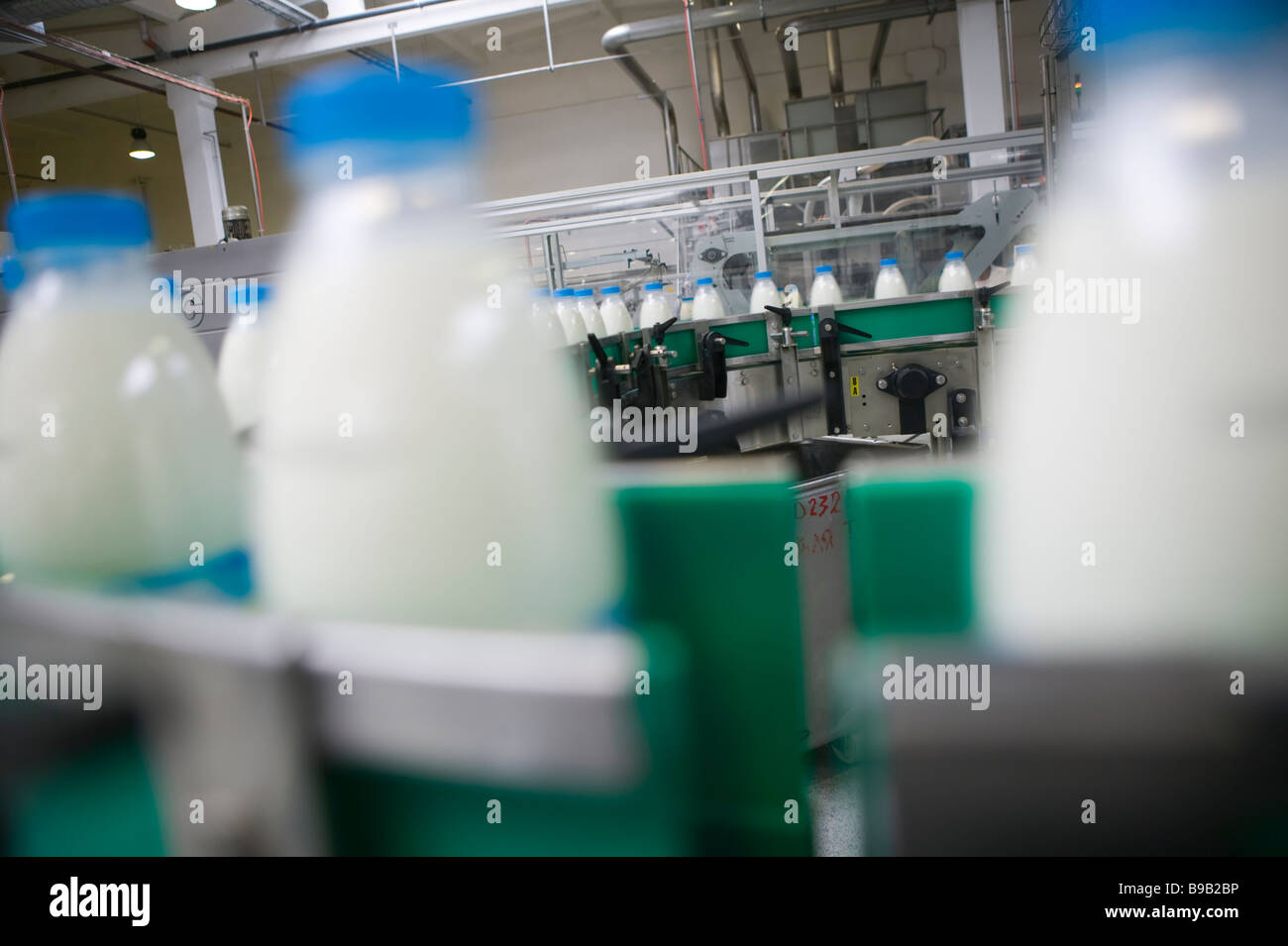 Dairy Plant Conveyor with milk bottles Stock Photo