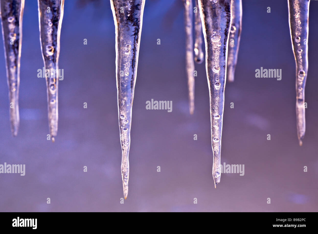 Icicles, close up, Manitoba, Canada. Stock Photo