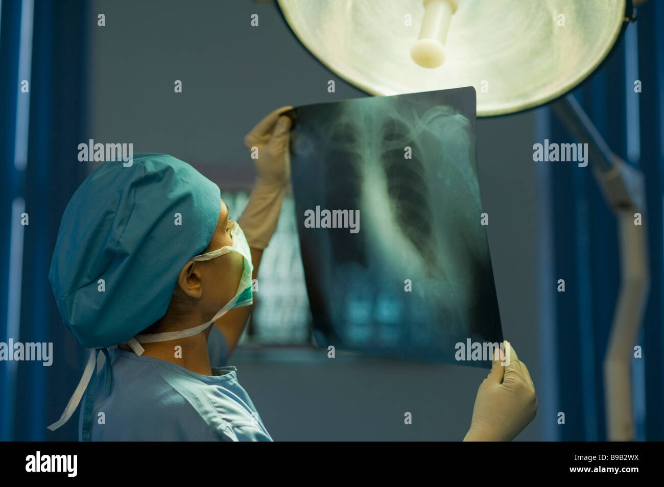 Female surgeon examining an x-ray report Stock Photo - Alamy