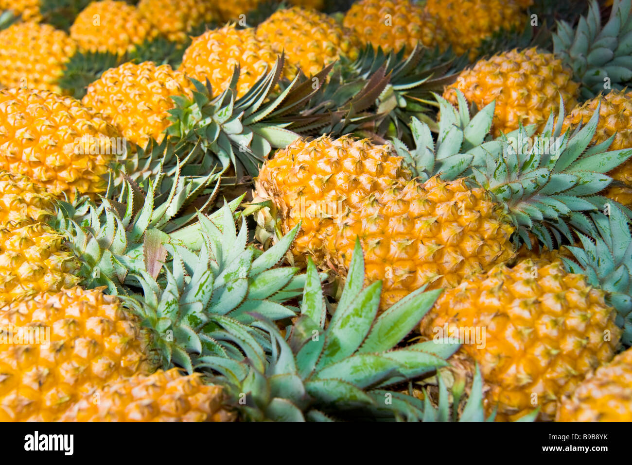 Ripe pineapple food market La Réunion France | Reife Ananas auf einem Markt in La Réunion Stock Photo