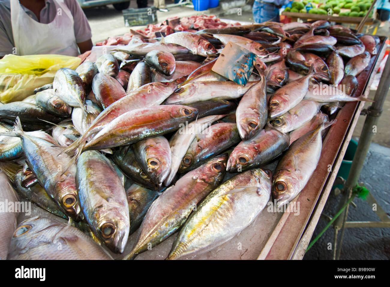Fish sales at food market, La Réunion France Fisch verkauf an einem