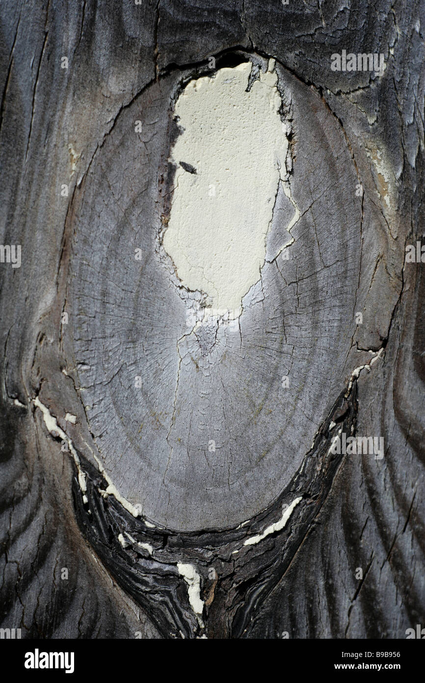 wood patterns Stock Photo