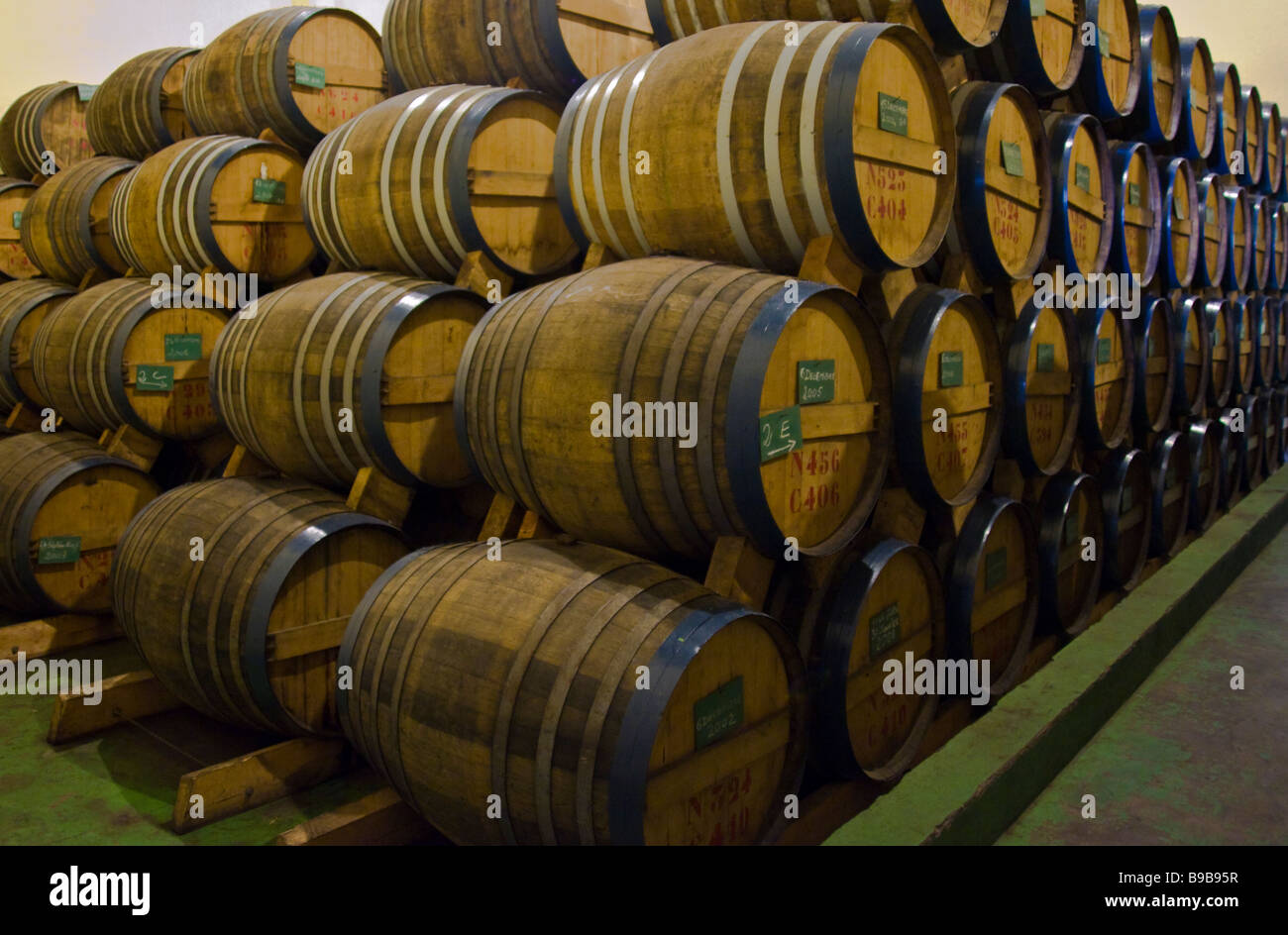 Rum barrels at Savanna distillery and sugar factory La Réunion France