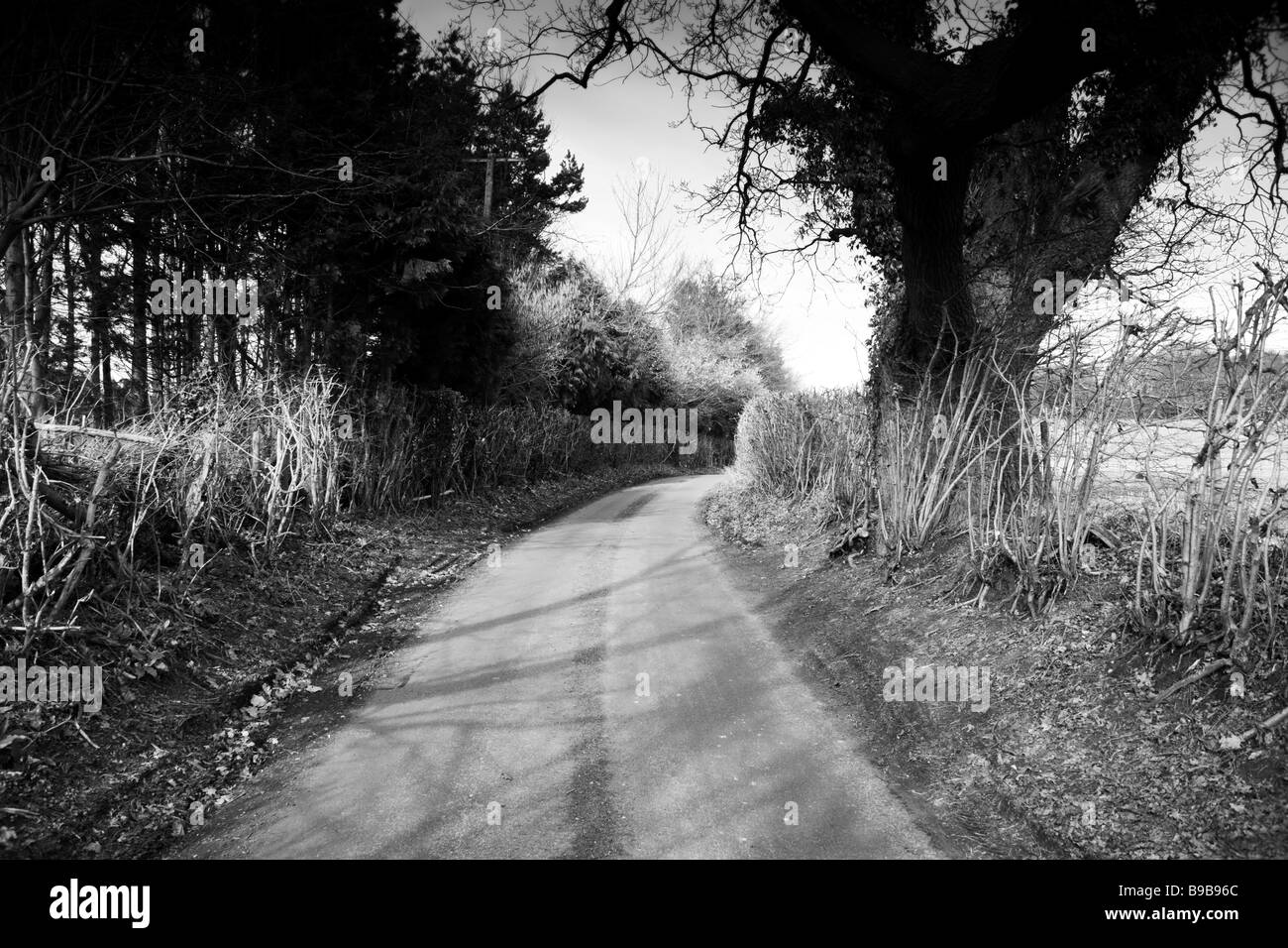 country lane the baddesley clinton estate warwickshire midlands england