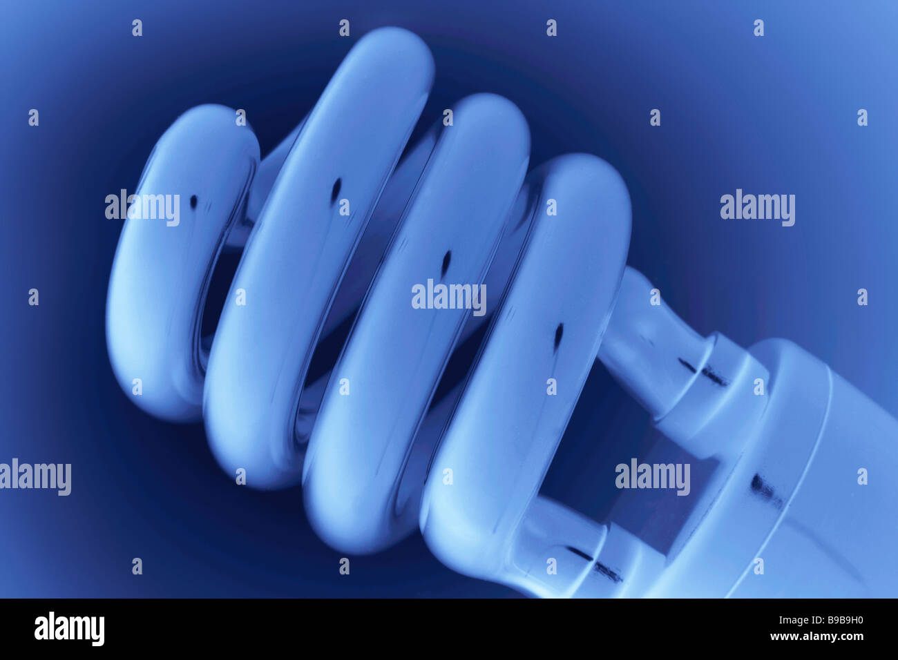 Compact Fluorescent Light Bulb Stock Photo Alamy