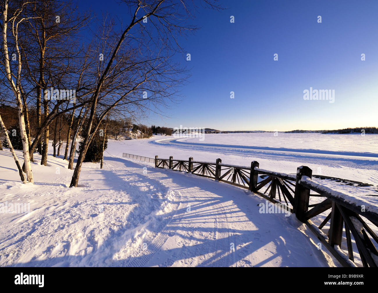 This was taken just after dawn at thirty below at Lake Ramsey, Sudbury