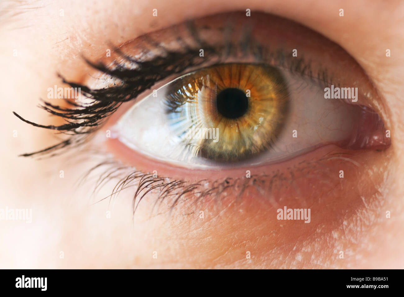 Close up of young woman eye Stock Photo