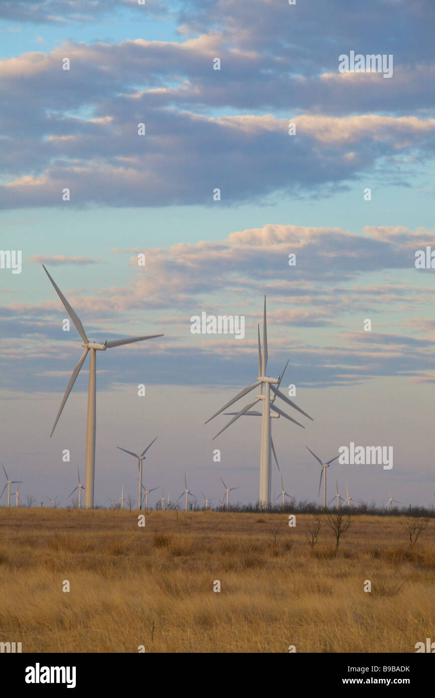 Early morning at the wind turbines generating electrical power at Horse Hollow Wind Farm Nolan county Texas Stock Photo