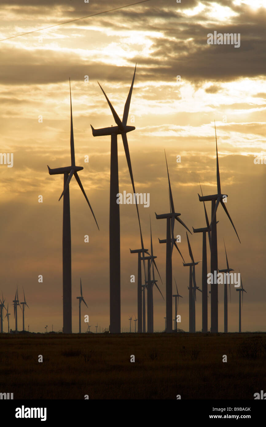 Early morning at the wind turbines generating electrical power at Horse Hollow Wind Farm Nolan county Texas Stock Photo