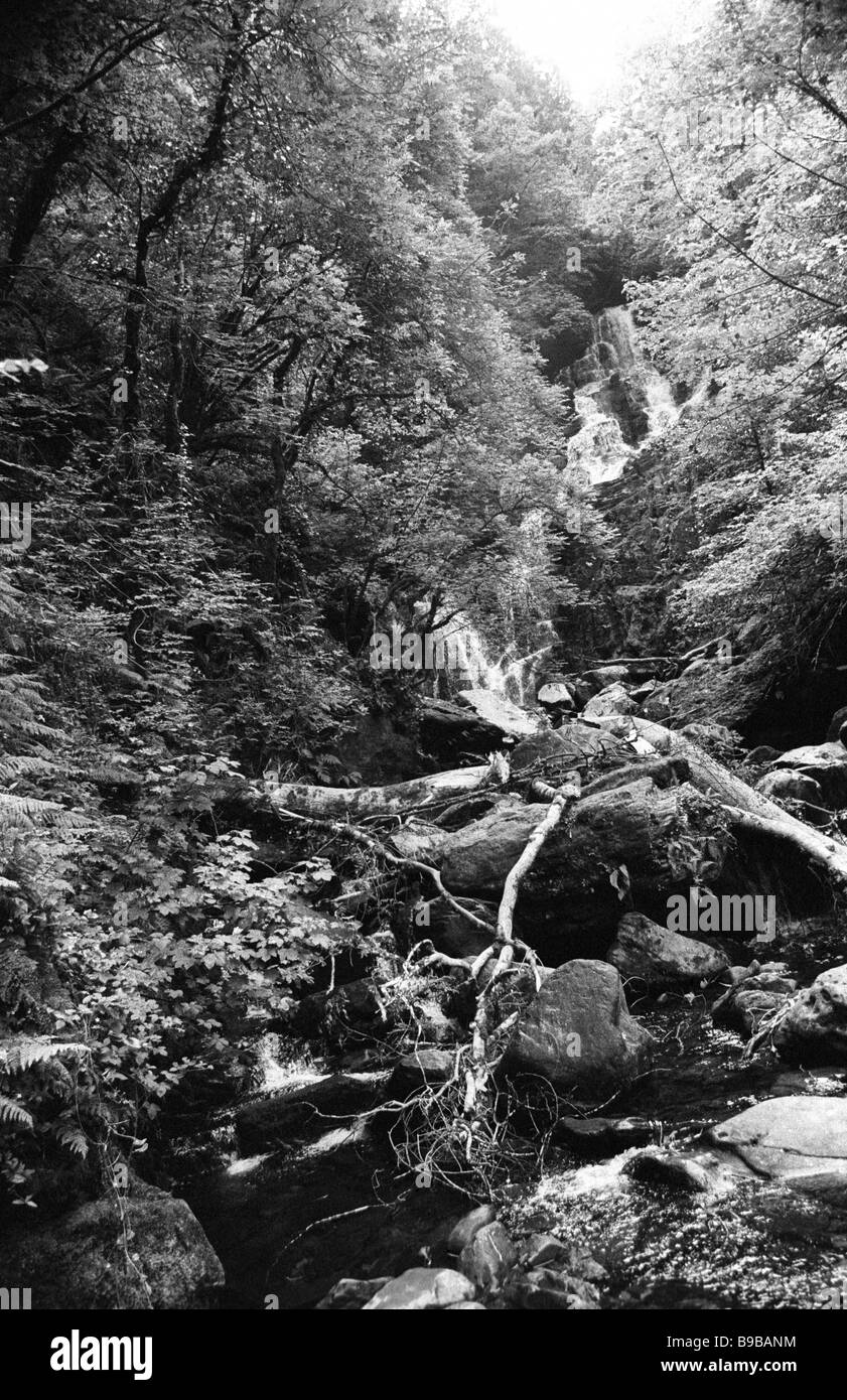 Torc Waterfall, Killarney National Park Stock Photo Alamy