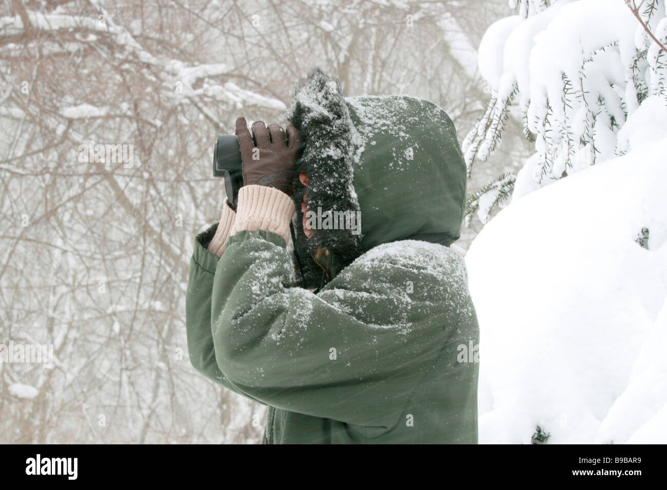 Woman Birdwatcher birdwatching during a Winter Snow Storm Stock Photo