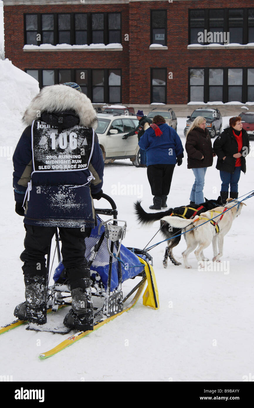 Dogs sledge race winter sport dogs in harness to sledge race drifts in the city street race