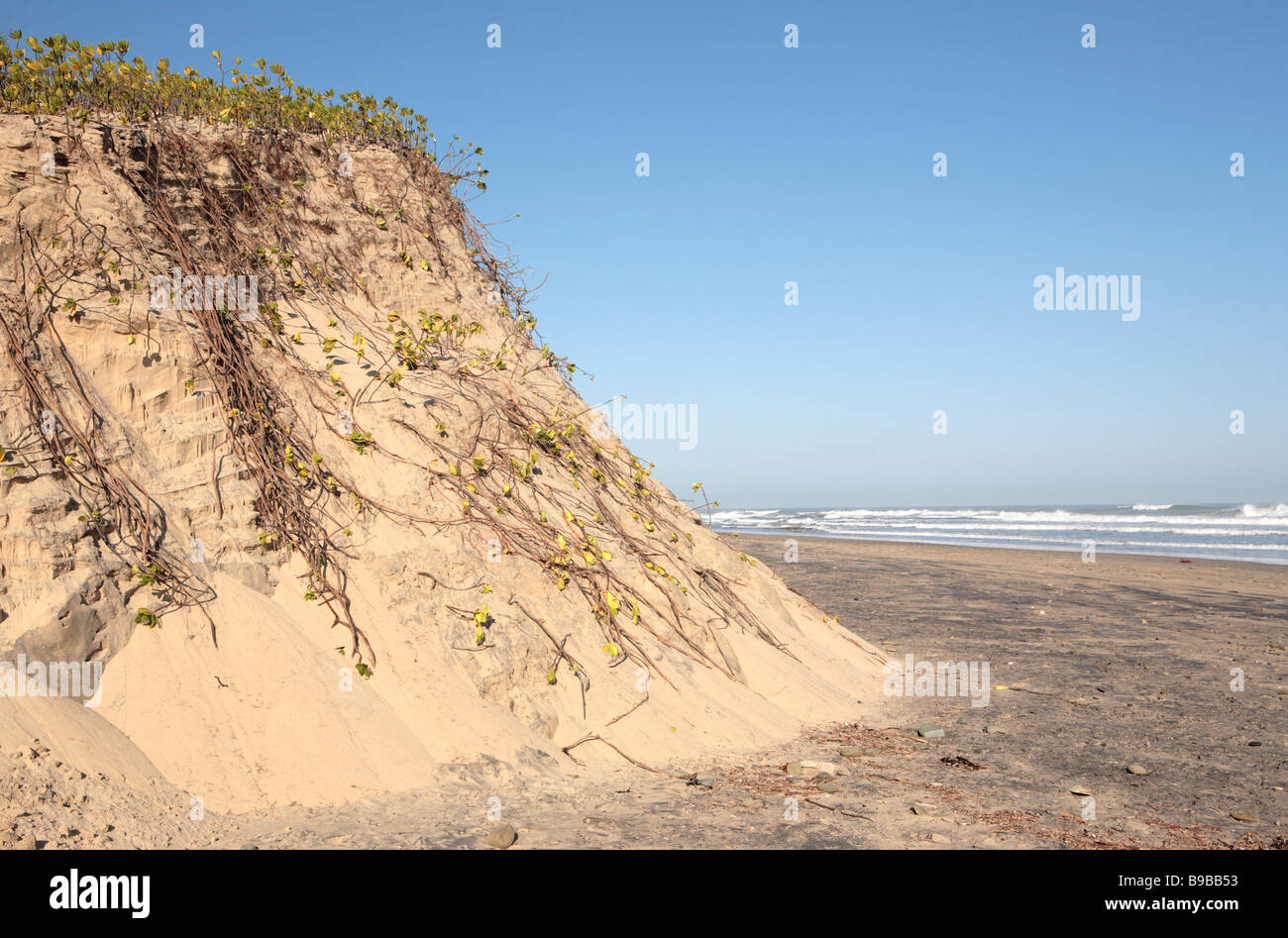 Wind erosion beach hi-res stock photography and images - Alamy