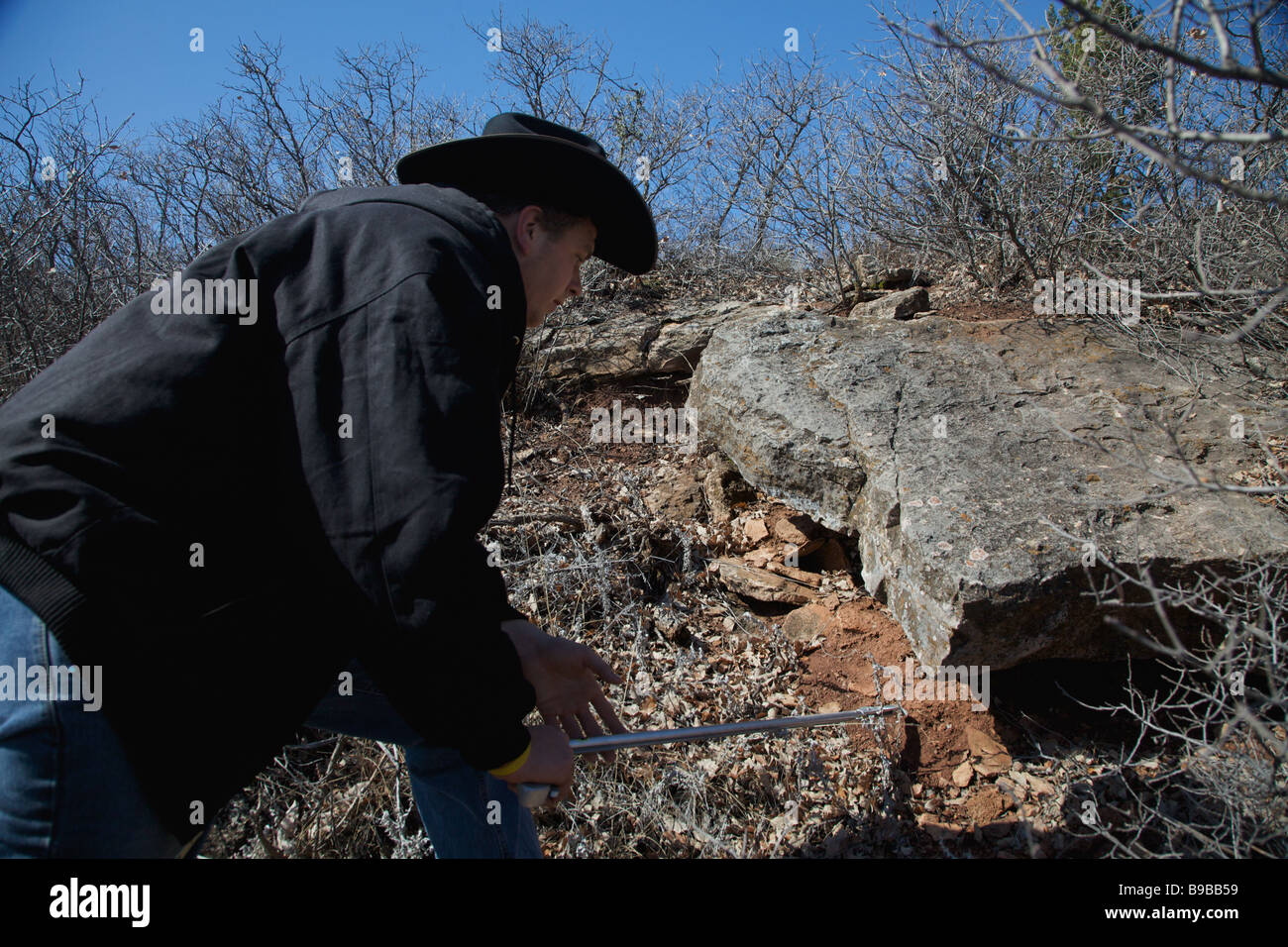 A snake hunters prepares to capture a western diamondback rattlesnake