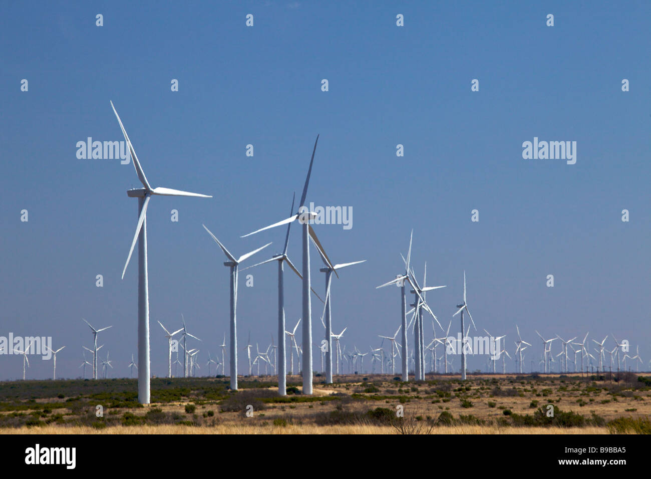 Wind turbines generating electricity at Horse Hollow Wind Farm Nolan Texas the world's largest wind power project Stock Photo