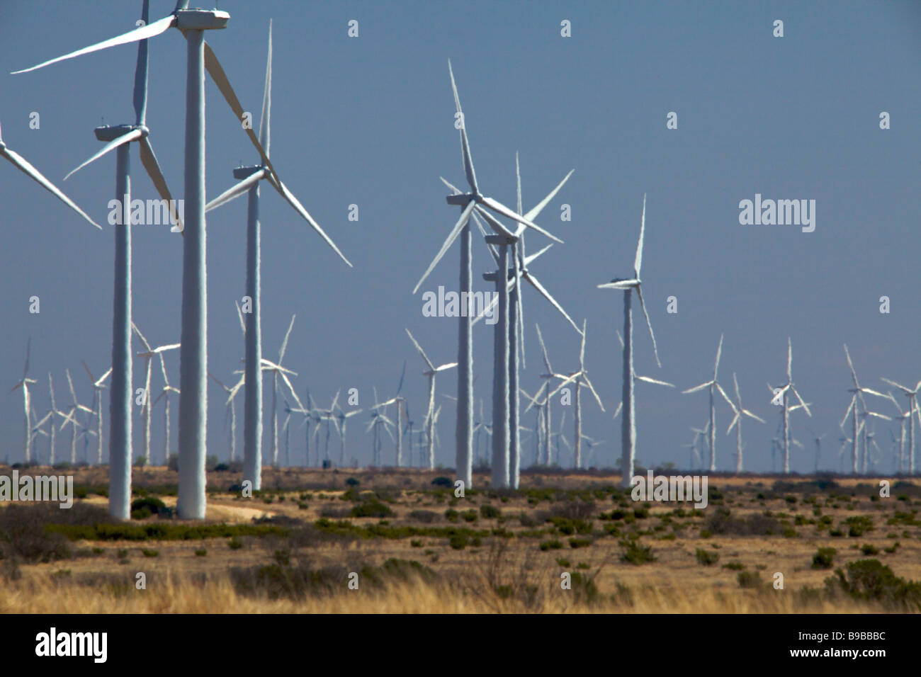 Wind turbines generating electricity at Horse Hollow Wind Farm Nolan Texas the world's largest wind power project Stock Photo
