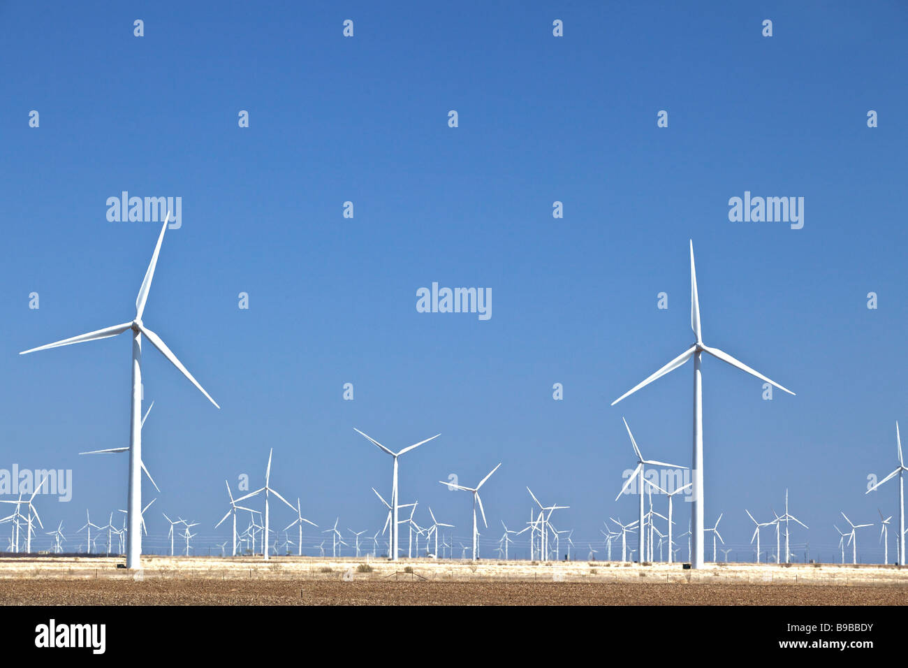 Wind turbines generating electricity at Horse Hollow Wind Farm Nolan county Texas the world's largest Stock Photo