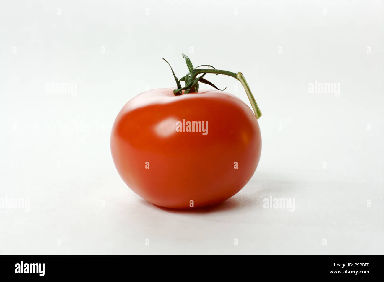 A fresh healthy red tomato isolated on a bright white background Stock ...